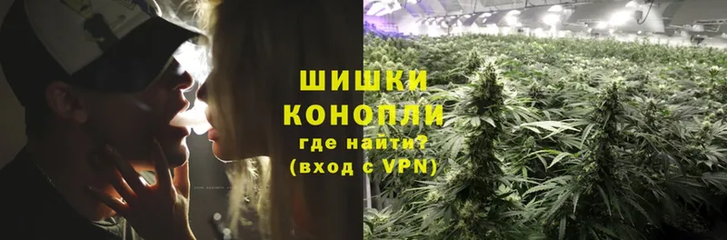 Канабис SATIVA & INDICA  дарнет шоп  Ржев 